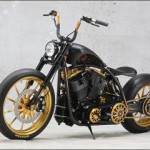 Craziest-modified-motorcycles-20